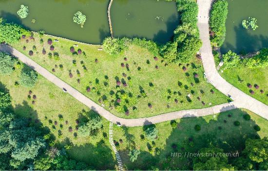 DJI_0873.jpg DJI_0873.jpg