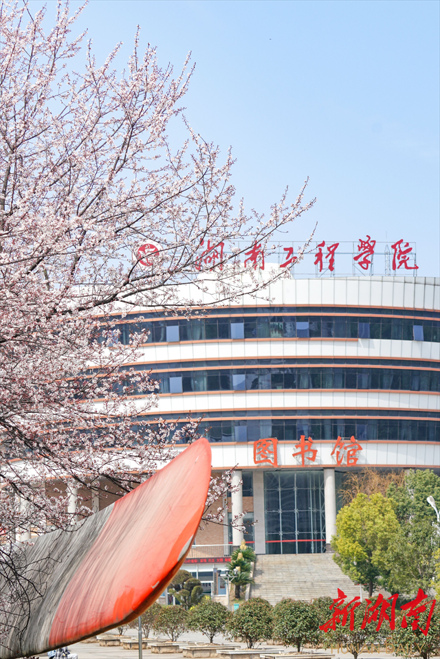 beat365平台官方网站紫叶李花开惹人醉