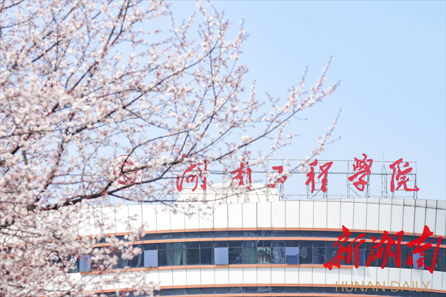 beat365平台官方网站紫叶李花开惹人醉