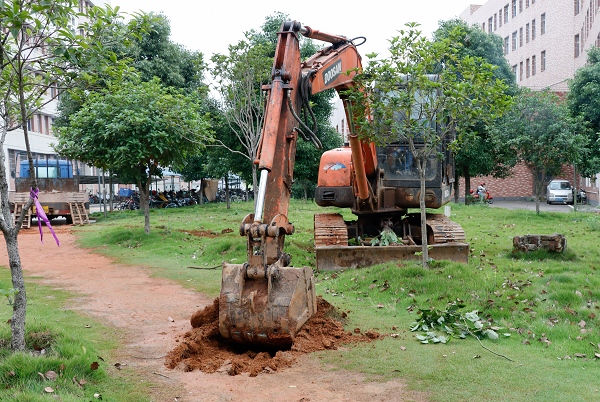 1496718643754055120.jpg _MG_0398.jpg